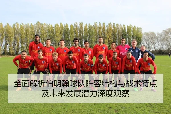 全面解析伯明翰球队阵容结构与战术特点及未来发展潜力深度观察