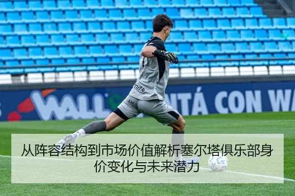 从阵容结构到市场价值解析塞尔塔俱乐部身价变化与未来潜力