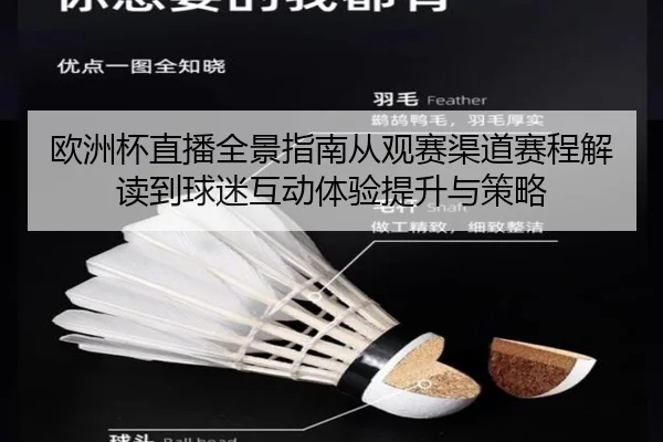 欧洲杯直播全景指南从观赛渠道赛程解读到球迷互动体验提升与策略